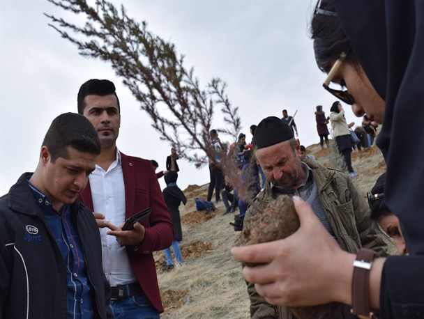 غرس نهال در دانشگاه کردستان+تصویر