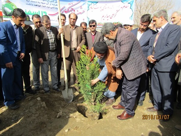غرس نهال‌‎های کاج و صنوبر ورودی روستای یوسف آباد اسدآباد در قاب دوربین