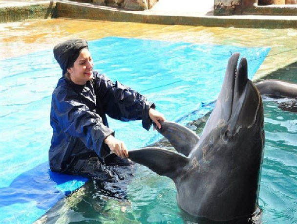 واکنش کاربران به دلسوزی بی‌جای مهناز افشار برای مردم ایران