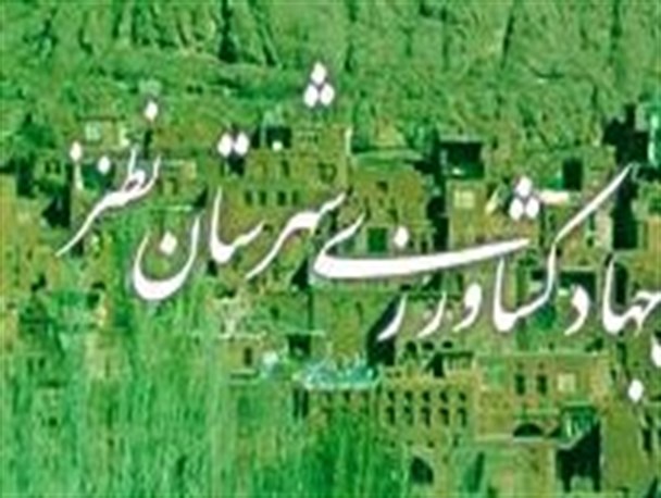 ایجاد ۱۲۸ فرصت شغلی در بخش کشاورزی شهرستان نطنز/ توزیع هزار و ۶۶۰ تن انواع کود شیمیایی در سال ۹۳