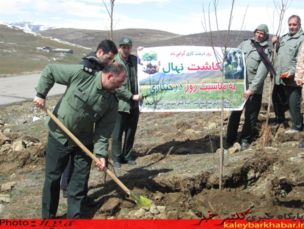 درخت کاری در محوطه اردوگاه شهدی باکری کلیبر