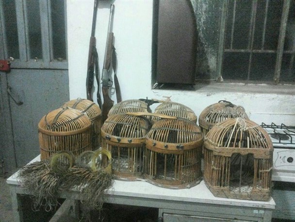 دستگیری 6 شکارچی غیرمجاز کبک در سردشت