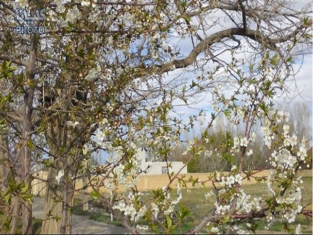 روستای حسن حافظ، بهشتی در دل طبیعت گلپایگان