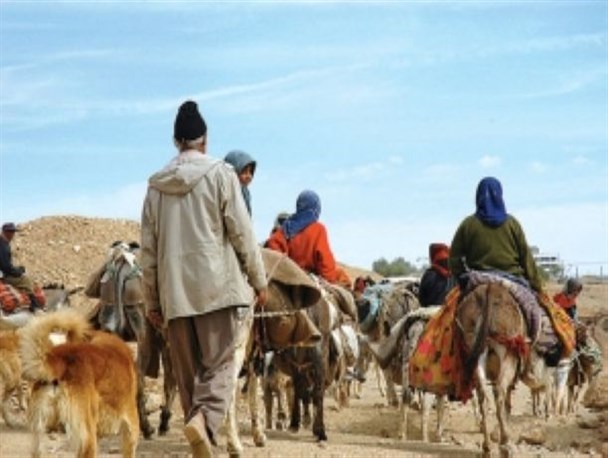 آغاز کوچ بهاره عشایر استان از اواخر فروردین ماه/ مقدمات لازم جهت تسهیل در کوچ عشایر فراهم شده است
