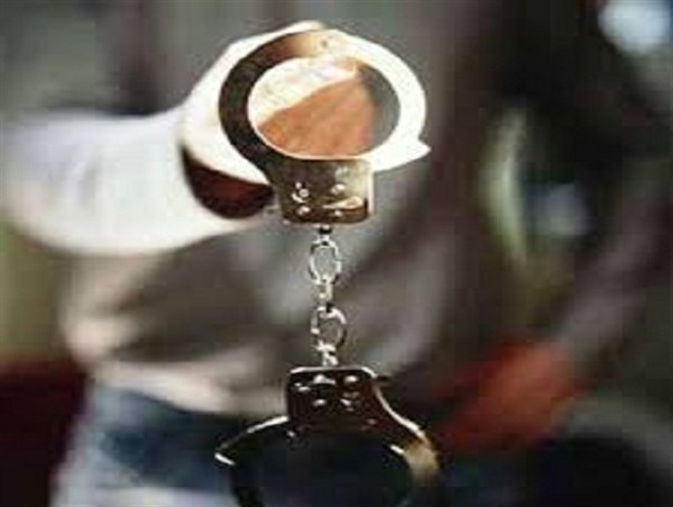 افزایش 50 درصدی کشفیات سرقت در طرح نوروزی پلیس شازند