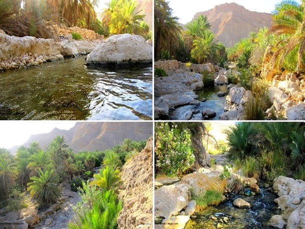 مستند مشکلات روستای بناب از زبان یک مادر روستایی/بیکاری اصلی ترین معضل روستا