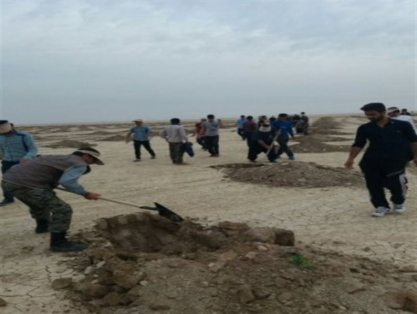 بسیجیانی که در تعطیلات به فکر آبادانی کشورند/نهال کاری بسیجیان ایلامی در بیابانهای خوزستان