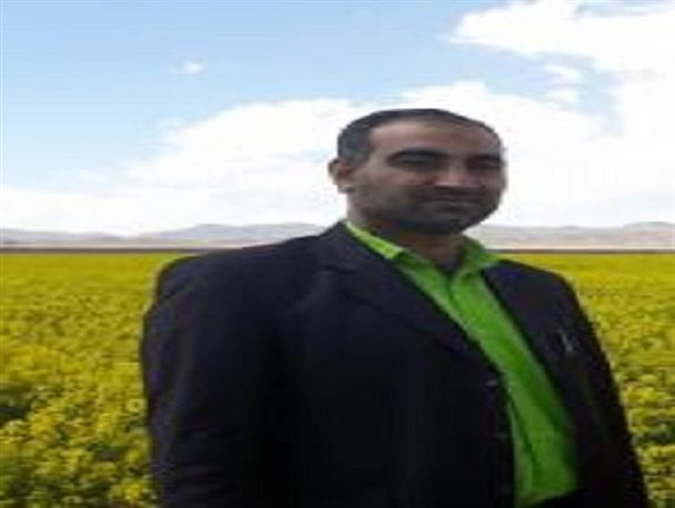 پیش بینی برداشت 50 تن محصول کلزا در شهرستان سربیشه