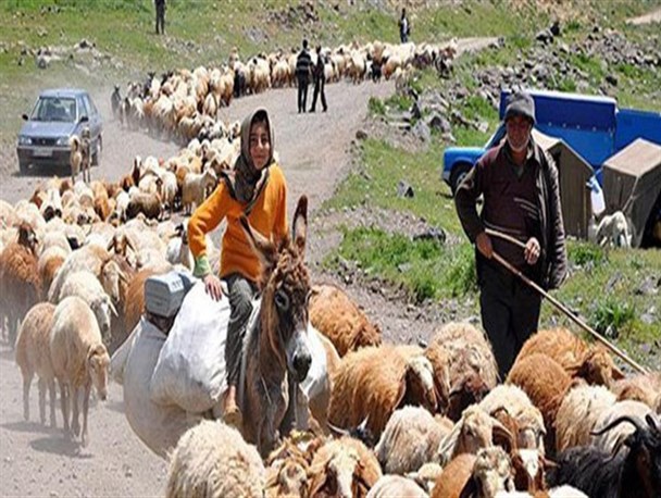 کوچ ۶ هزار نفری عشایر به ییلاقات خراسان شمالی/ واکسینه شدن دام عشایر علیه تب برفکی