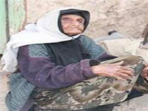 «ملکی بانوی» صد ساله چنار نازی معناگر کار و تلاش +عکس