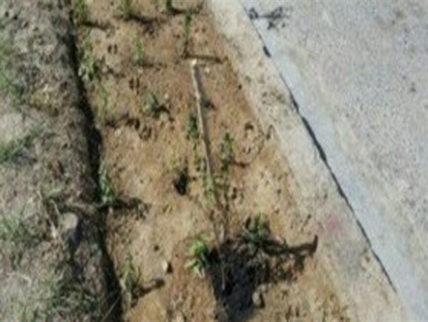 دوربین مدار بسته در سطح شهر نصب می شود/ فرمانداری زابل به شدت پیگیر این مسله است