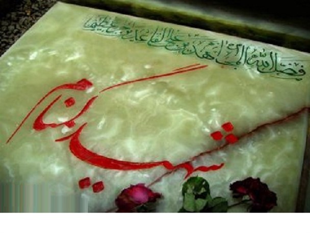 درخواست خاکسپاری شهدای گمنام در دانشگاه +تصاویر