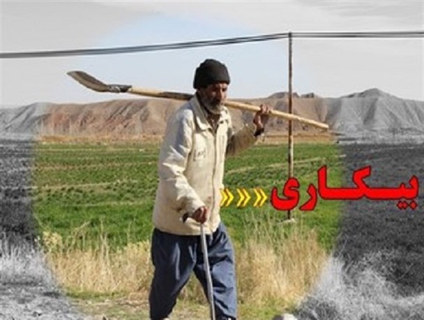 بیکاری30 هزار نفر در بخش کشاورزی دستاورد خشکسالی های 20 ساله در جنوب شرق/263 میلیارد تومان خسارت برآورد شد