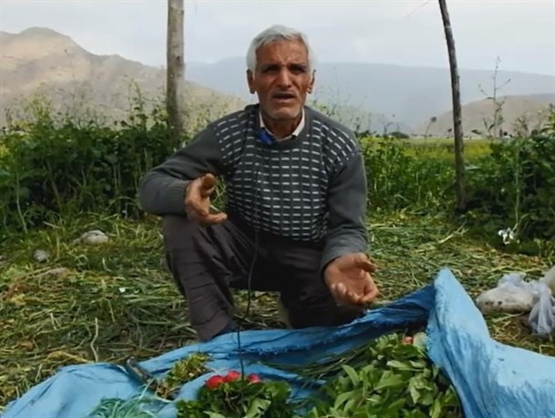 دغدغه های مرد سبزی کار درگچساران/سبزی کاران همچنان زیر خط فقر /فیلم