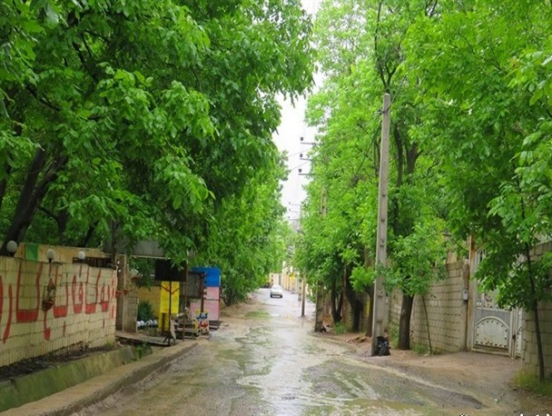 طراوت باران بهاری در پایتخت طبیعت ایران+تصاویر