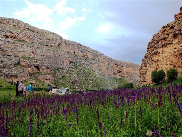 رند بهشت ناشناخته شمالغرب