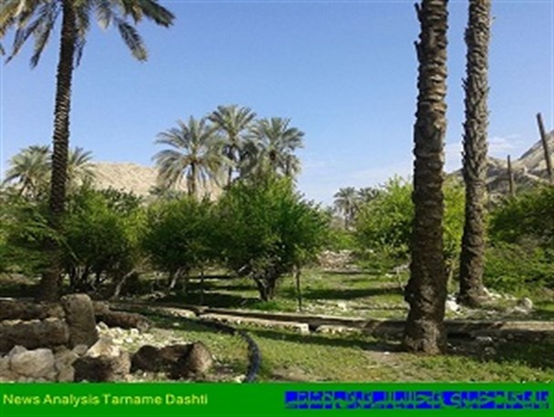 به دنبال علت سرطان می گردیم