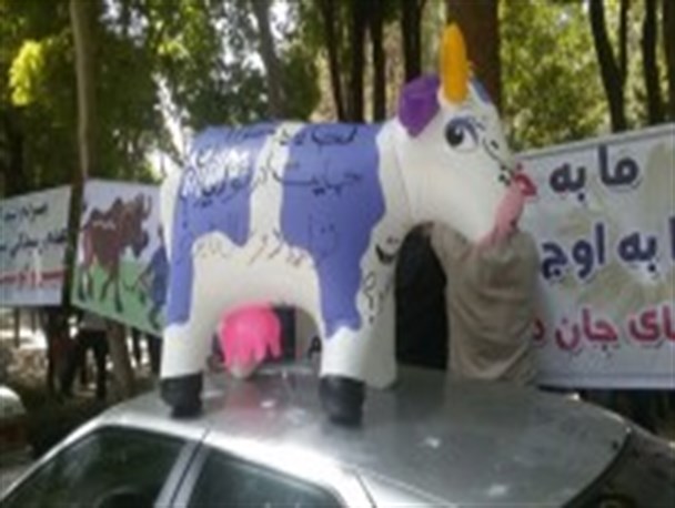 گاو را سر بُریدند یا سَر فرهنگمان را بریدند!