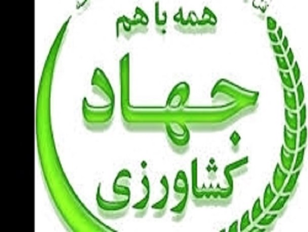 عرضه 33 تن برنج سفید جهت تنظیم بازار در شهرستان فارسان