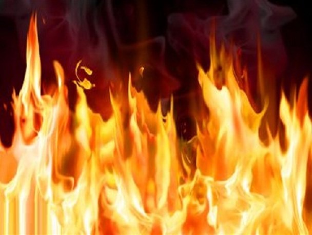 آتش‌سوزی در جنگل‌های بلوط سالند دزفول