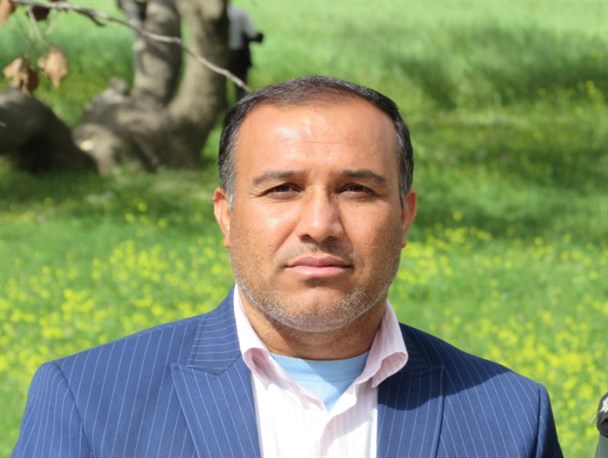 حمله گرگ ها باعث تلفات 20 راسی دام ها در روستایی گرداب کبیر شد
