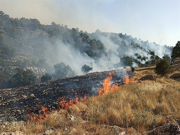 یک بام و دو هوای محیط زیست کهگیلویه و بویراحمد در ماجرای دستگیری عاملان آتش‌سوزی خائیز