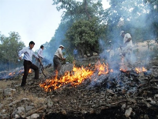 چوپان‌های جوان، شکارچیان و مسافران بلای جان طبیعت/ تجهیزات اداره مناطع طبیعی برای مقابله با آتش‌سوزی‌ها به روز نیست