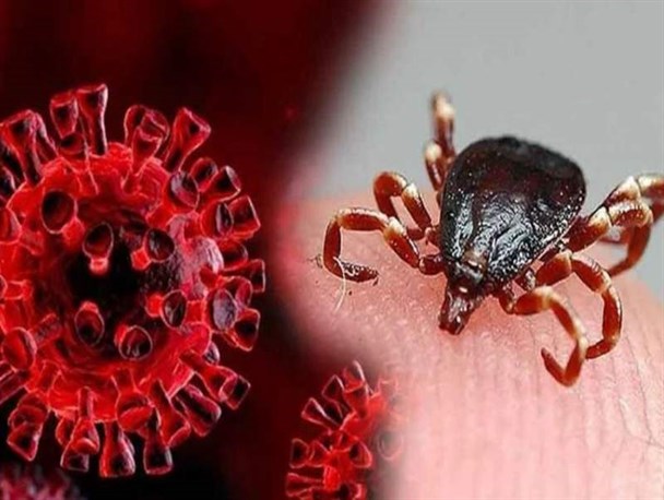 مردم گوشتِ دارای مُهر دامپزشکی مصرف کنند