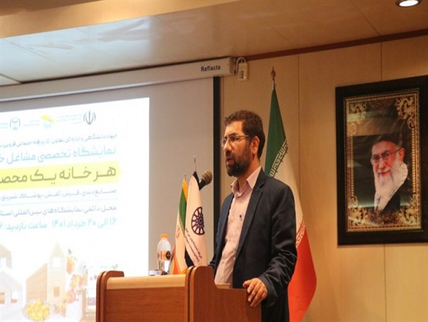 قزوین پایلوت حمایت از مشاغل خانگی در کشور شد