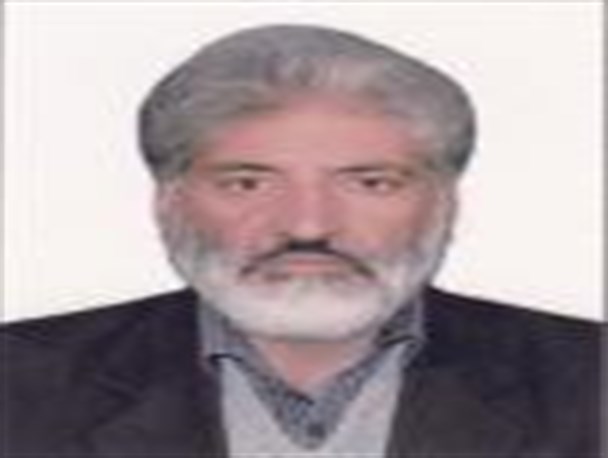 استانی شدن انتخابات،خدشه ای به مردمی بودن آن