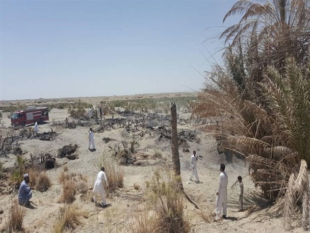 ۲ هزار اصله درختچه داز در رودخانه مشکوتک کلپورگان طعمه حریق شد