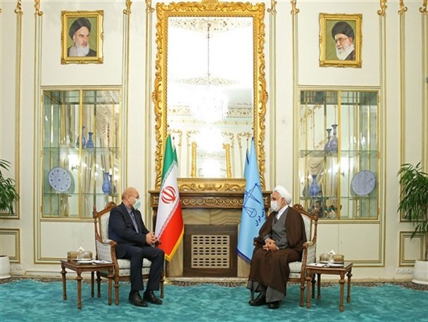 رئیس مجلس با حجت الاسلام محسنی اژه‌ای دیدار کرد