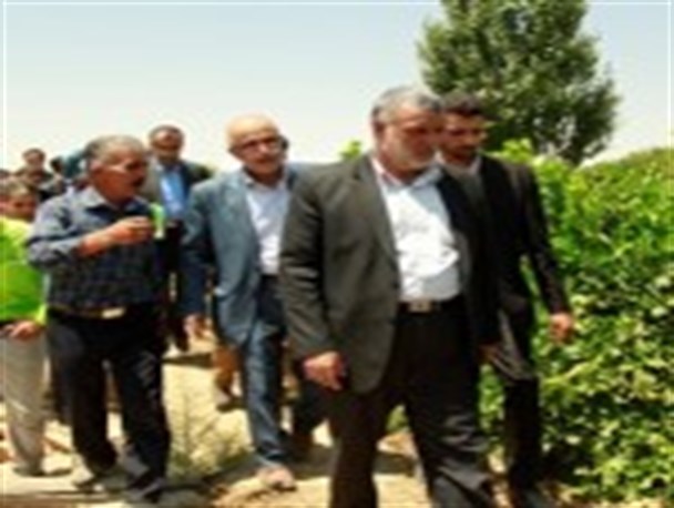 وزیر جهاد کشاورزی از باغات انگور تاکستان بازدید کرد