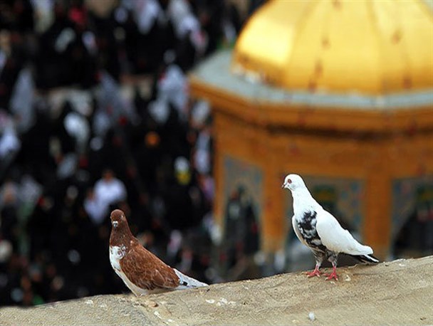 اعزام ۳۸ بی‌بضاعت به سفر زیارتی مشهد مقدس