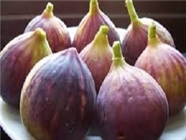 دومین جشنواره انجیر گلوگاه تمدید شد