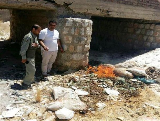معدوم سازی ۱ تن مرغ غیرمجاز در ازنا