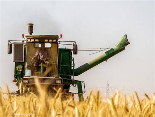 خرید تضمینی گندم از مرز ۴.۴ میلیون تن گذشت