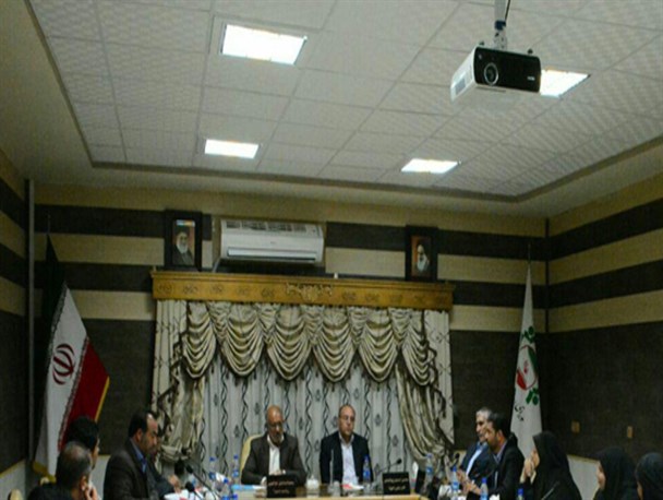 رئیس شورای شهر سیرجان انتخاب شد