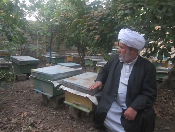 حجت الاسلام امامی تنها روحانی «مغان» در تولید عسل +تصاویر