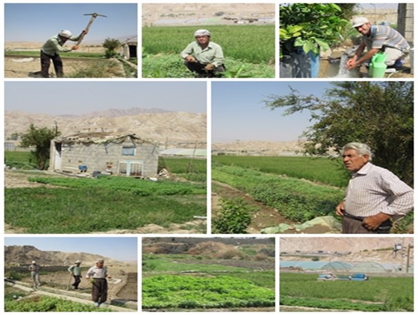 جوشش اقتصاد مقاومتی از کلبه مرد روستایی در لنده+تصاویر