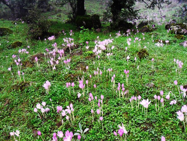 تصاویری زیبا از روستای کوهستانی اندوار منطقه لاریجان