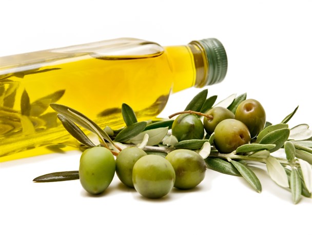 برگزاری کلاسهای توجیهی و آموزشی تولید و فرآوری زیتون/ آموزش نقش مهمی در موفقیت کارآفرینان جوان دارد