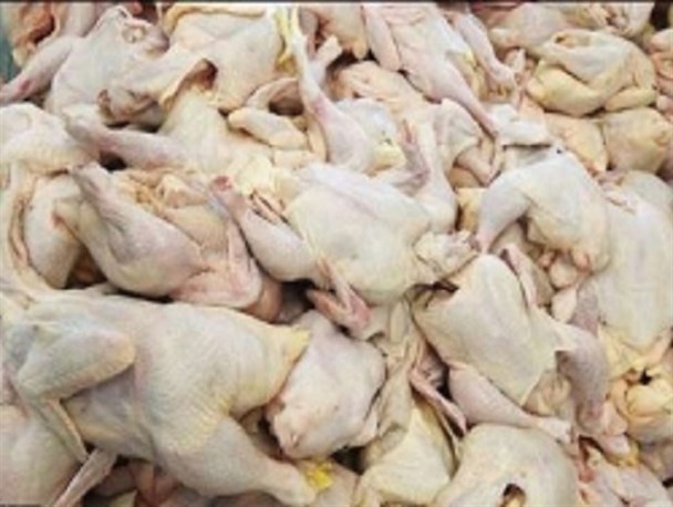 کشف 2 تن گوشت مرغ فاسد در اردبیل