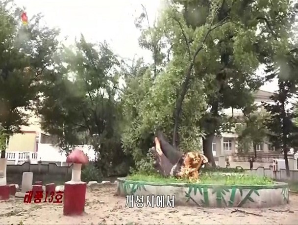 طوفان، محصولات کشاورزی کره شمالی را تهدید می‌کند