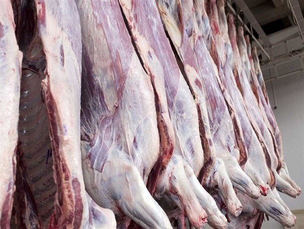 تعطیلی بیش از 40 قصابی به دنبال افزایش نرخ گوشت/ توقف واردات گوشت با ارز دولتی عامل افزایش مجدد قیمت این کالا در کشور