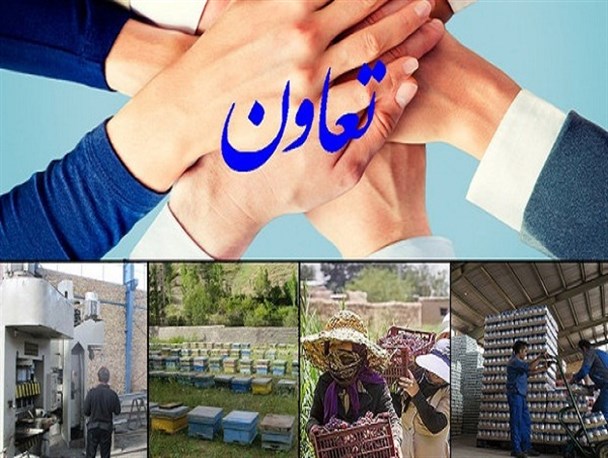 صادرات ۸ هزار دلاری تعاونی های لرستان/به دانش بنیانها تسهیلات اعطا می شود