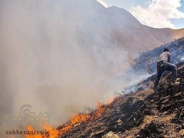 اقدام به‌موقع تیم گشت محیط زیست در مهار آتش‌سوزی کوه سرخ گچساران/ 95درصد آتش‌سوزی جنگل‌های گچساران عمدی است