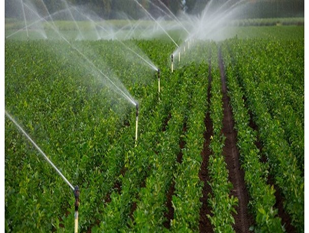 تعیین حمایت‌های بانکی، بیمه‌ای و معافیت‌های قانونی از طرح‌های کشاورزی