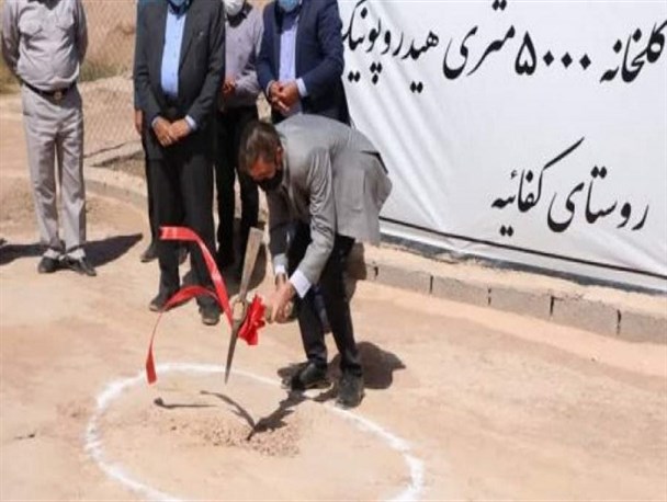 کلنگ گلخانه ۵ هزار متری هیدروپونیک در کفائیه رفسنجان زمین زده شد+تصاویر