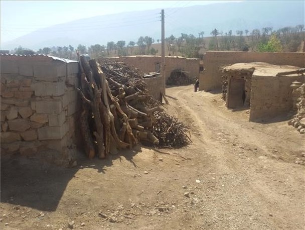 فاجعه زیست‌محیطی با قطع بی‌رویه درختان دیشموک در آستانه فصل سرما+تصاویر